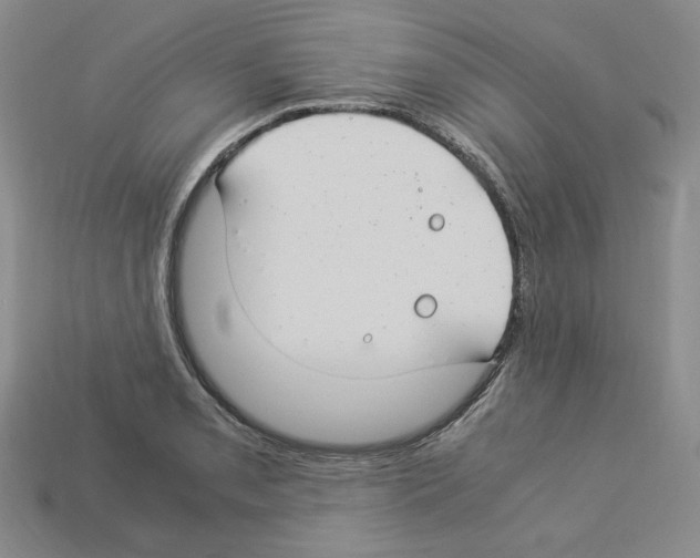 X0000112901085200910021429