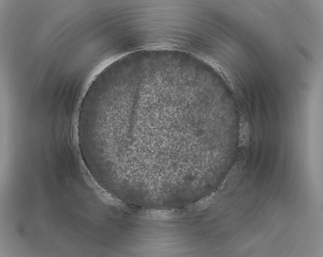 X0000112901086200910021429