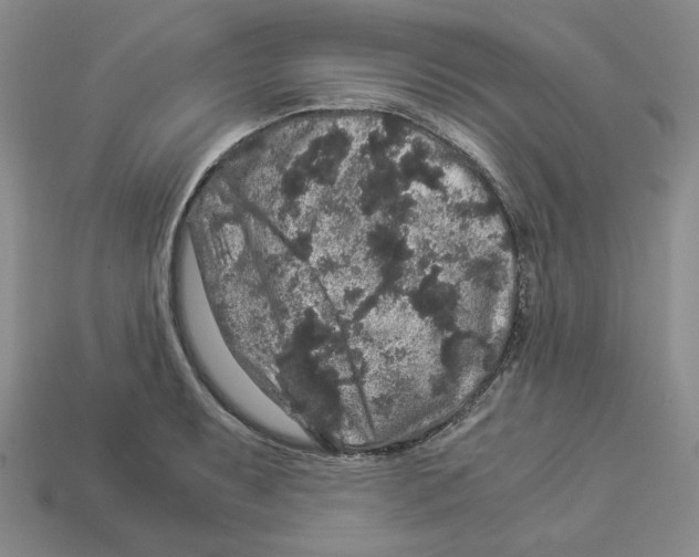 X0000112901087200910021429