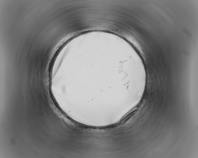X0000112901088200910021429