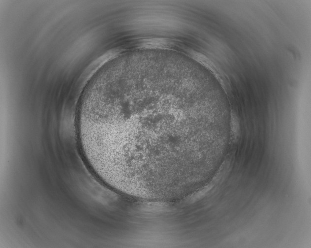 X0000112901090200910021429