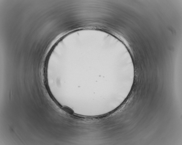 X0000112901091200910021429