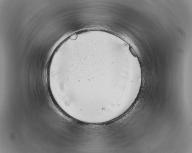 X0000112901092200910021429