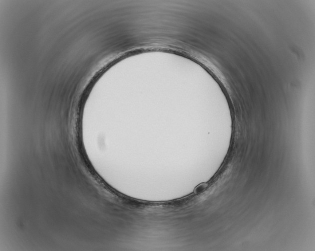 X0000112901093200910021429