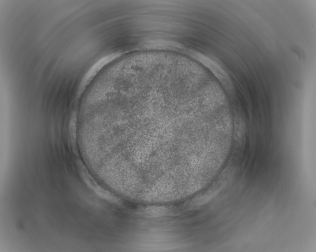 X0000112901094200910021429