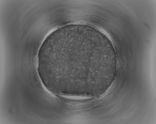 X0000112901095200910021429