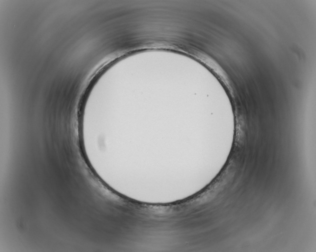 X0000112901096200910021429