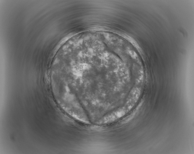 X0000112901097200910021429