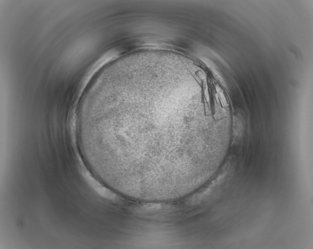 X0000112901098200910021429