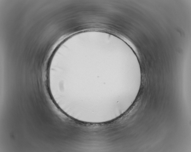 X0000112901099200910021429