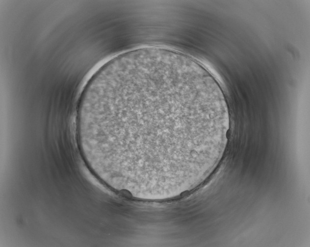 X0000112901100200910021429