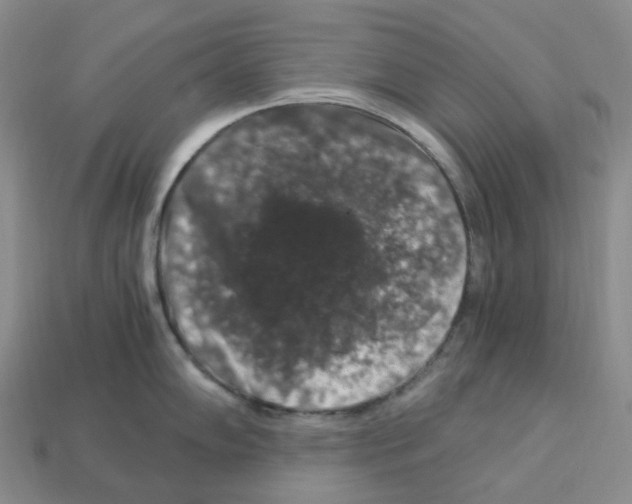 X0000112901102200910021429