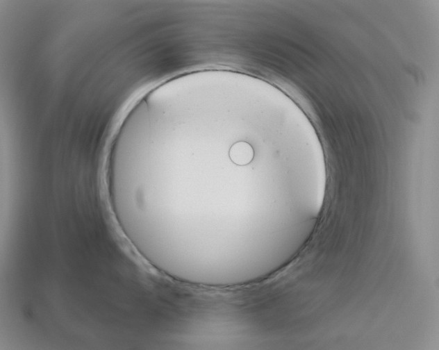 X0000112901104200910021429