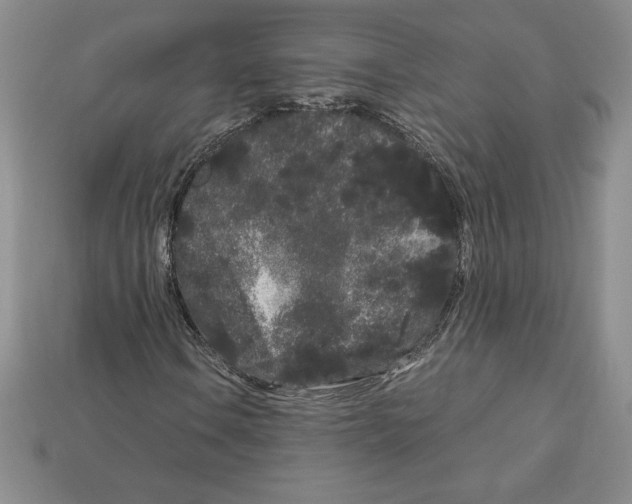 X0000112901106200910021428