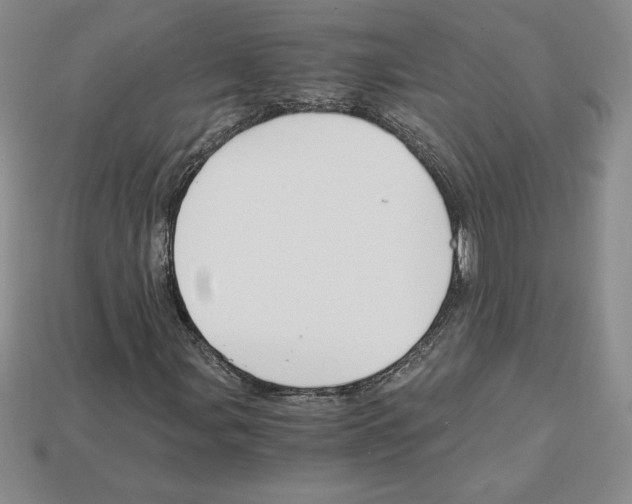X0000112901107200910021429