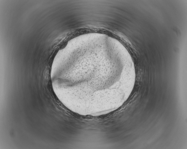 X0000112901110200910021429