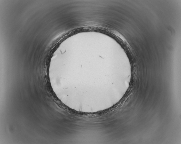 X0000112901112200910021429