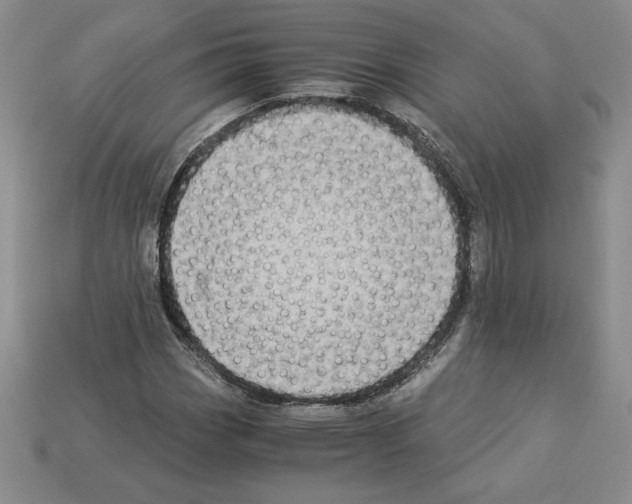 X0000112901113200910021429