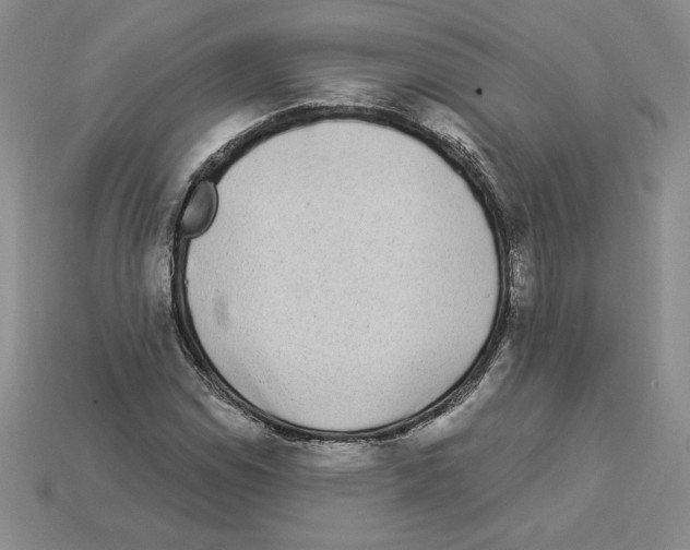 X0000112901114200910021429
