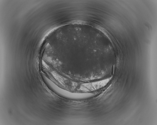X0000112901115200910021429