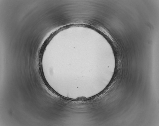 X0000112901116200910021429