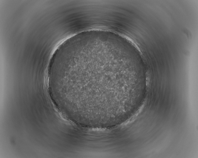 X0000112901117200910021429