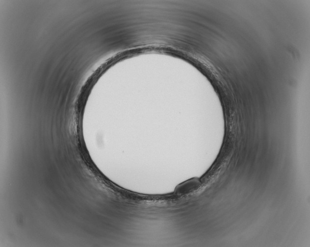 X0000112901118200910021429