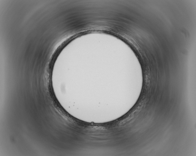 X0000112901119200910021429