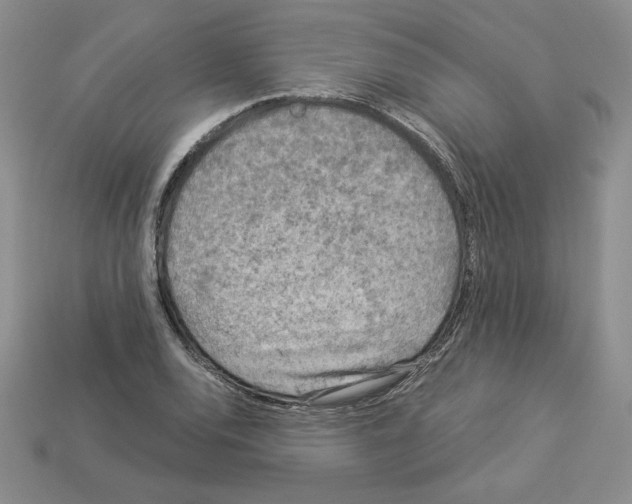 X0000112901120200910021429