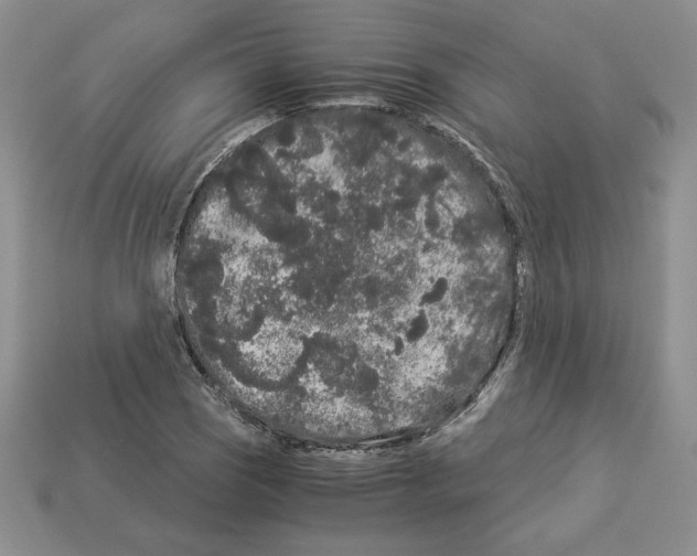 X0000112901121200910021429