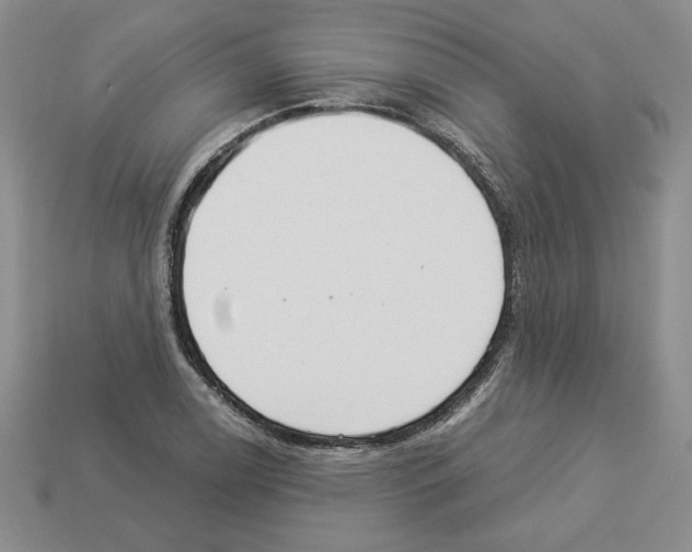 X0000112901122200910021429