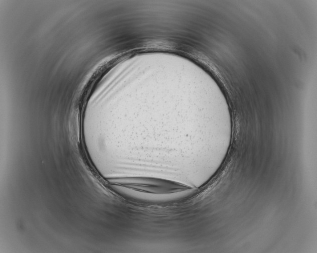 X0000112901123200910021429