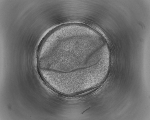 X0000112901124200910021429