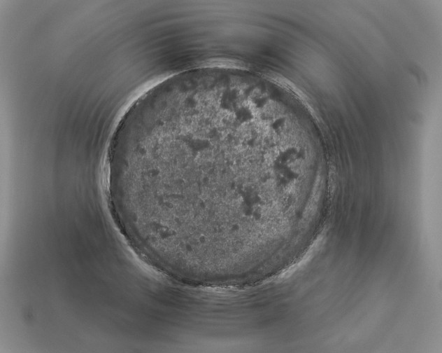 X0000112901125200910021429