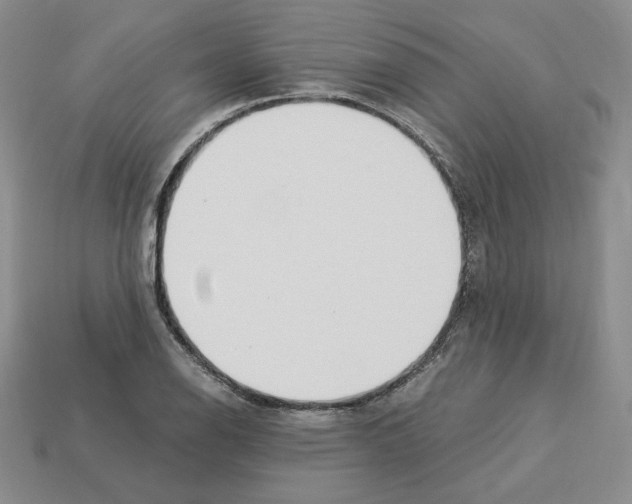 X0000112901126200910021429