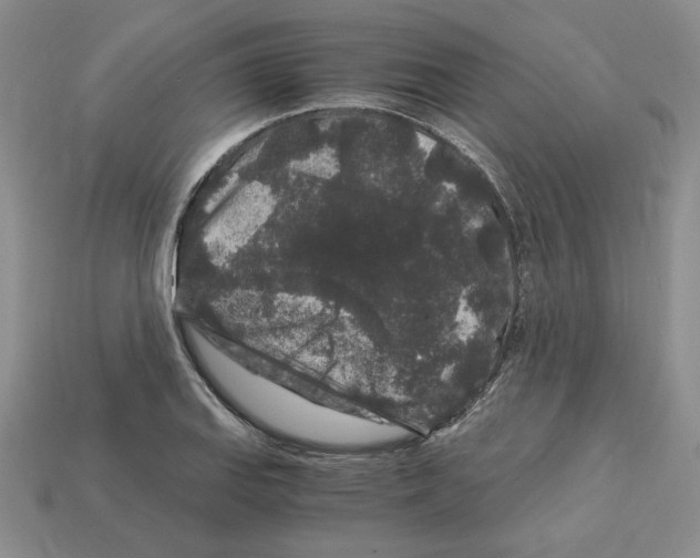 X0000112901127200910021429