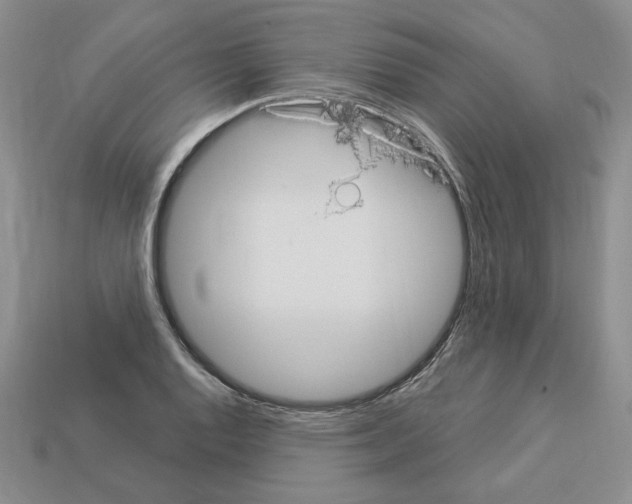 X0000112901128200910021429