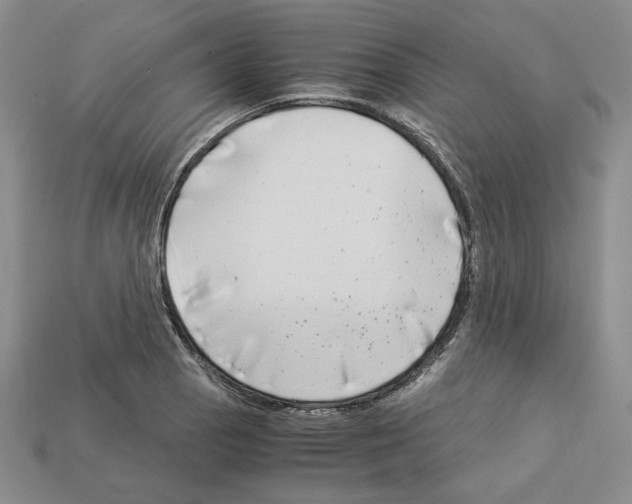 X0000112901129200910021429