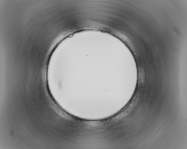 X0000112901130200910021429