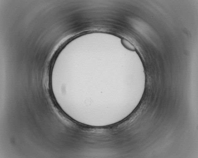 X0000112901131200910021429