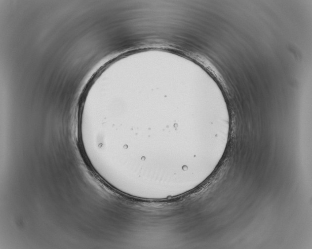 X0000112901132200910021429