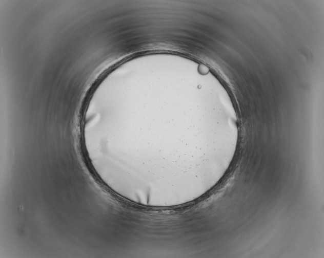 X0000112901133200910021429