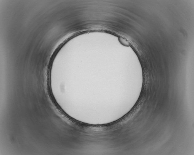X0000112901134200910021429