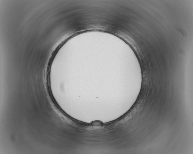 X0000112901135200910021429