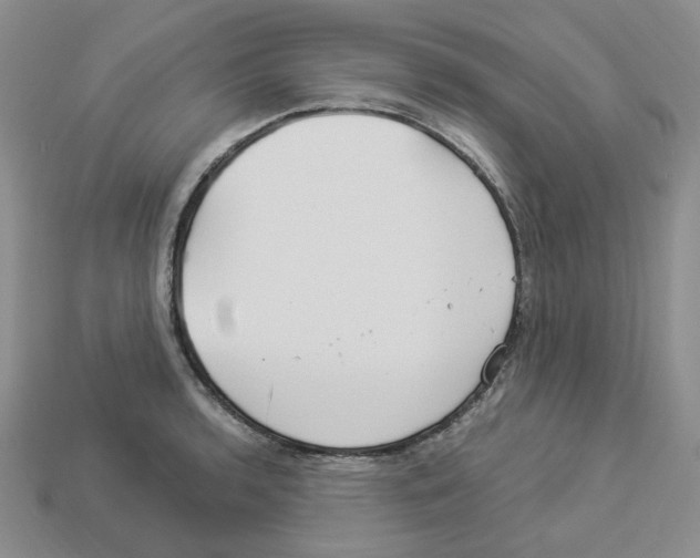 X0000112901136200910021429