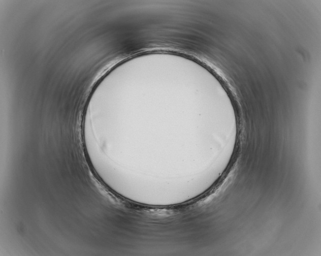 X0000112901137200910021429