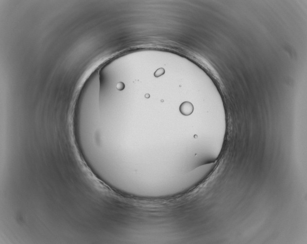 X0000112901138200910021429