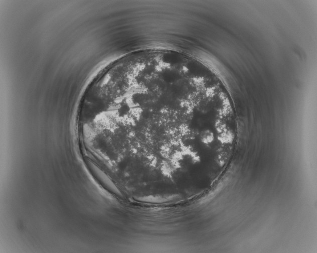 X0000112901141200910021429