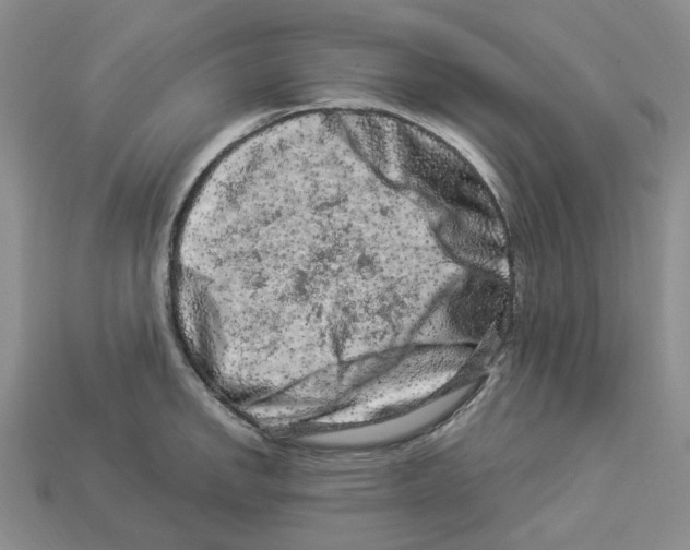 X0000112901142200910021429