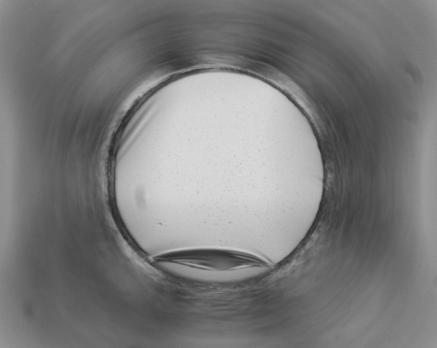 X0000112901143200910021429